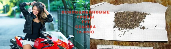 скорость mdpv Новодвинск