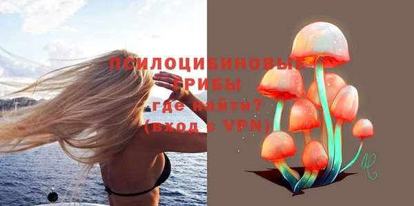 скорость mdpv Новодвинск