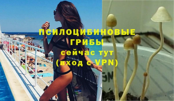гашиш Новозыбков