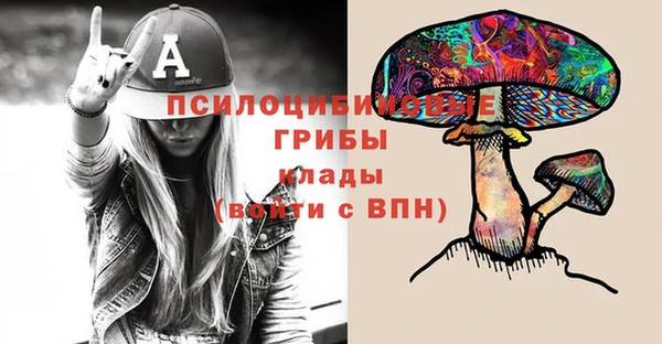 2c-b Новокубанск