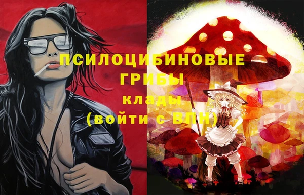 гашиш Новозыбков