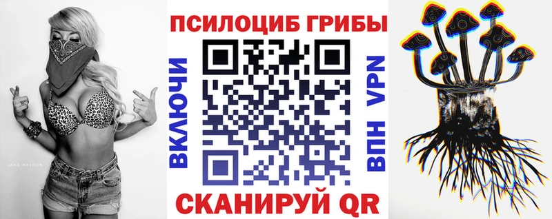 купить наркоту  Горячеводский  Галлюциногенные грибы Magic Shrooms 